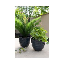 Two black decorative pots with lush green plants, set against a bright outdoor backdrop.