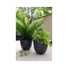 Two black decorative pots with lush green plants, set against a bright outdoor backdrop.