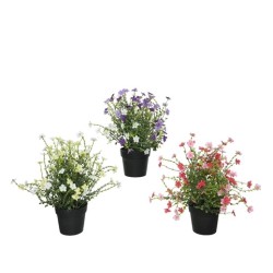 Trois pots de fleurs colorées : violet, rose et blanc, avec feuillage délicat.