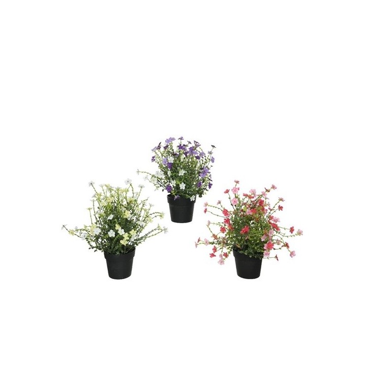 Three potted plants with vibrant flowers: purple, pink, and white, in black pots.
