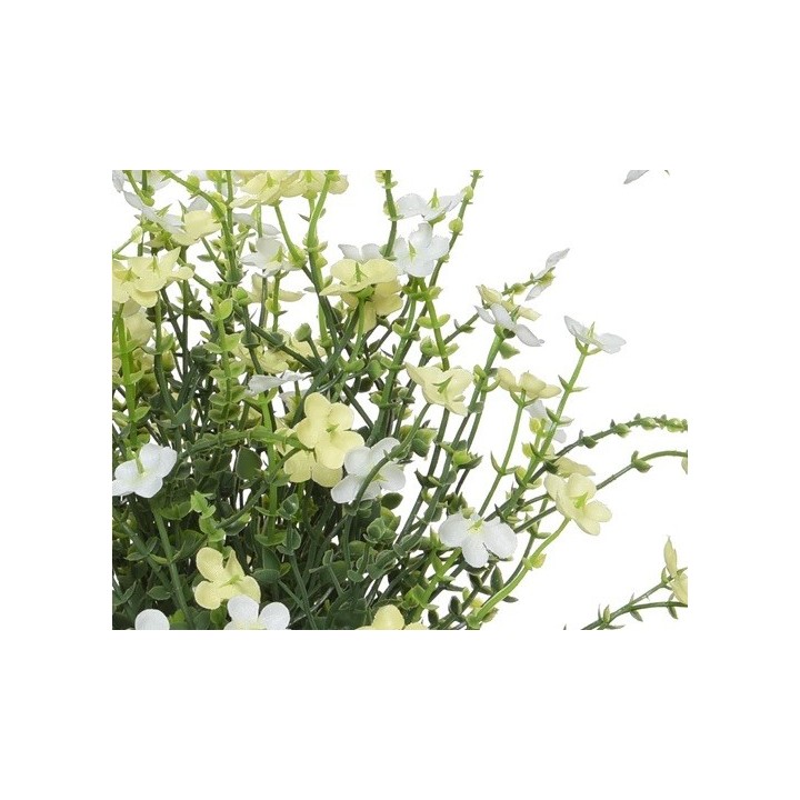 Delicate white and pale yellow flowers bloom among slender green stems.