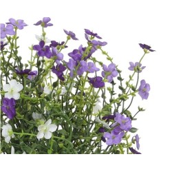 Bouquet de fleurs violettes et blanches, pétales délicats, feuillage verdoyant.