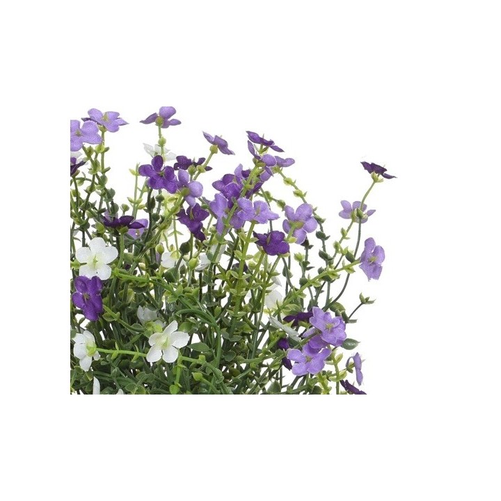 A vibrant bouquet of small purple and white flowers with delicate green stems.