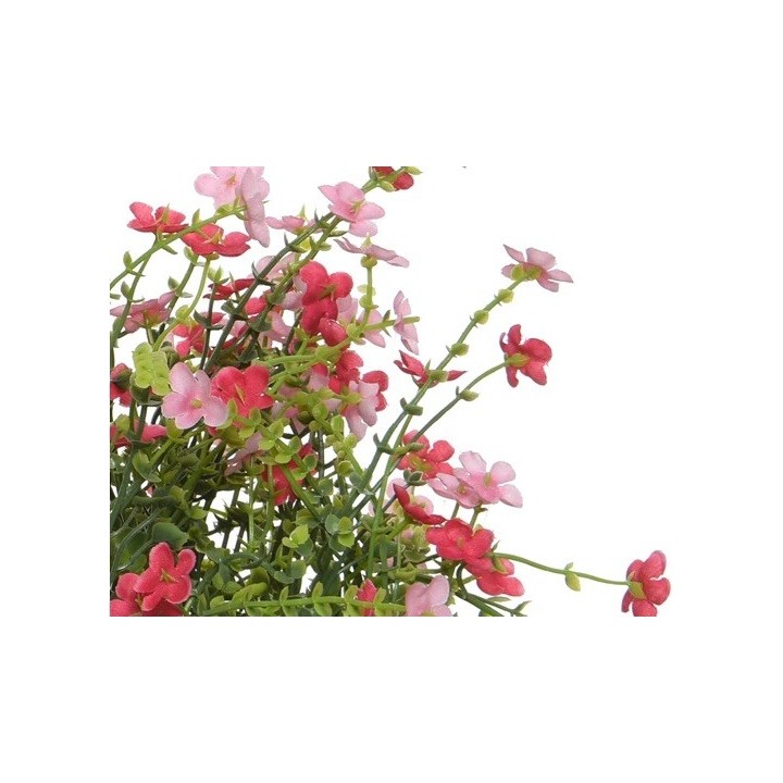 Delicate pink flowers with green leaves, cascading gracefully against a white background.