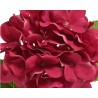 A cluster of rich burgundy hydrangea blooms with soft, overlapping petals.