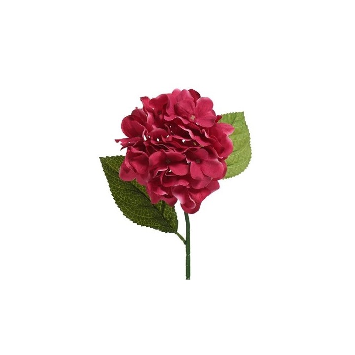 A vibrant, deep pink flower with layered petals, accompanied by two green leaves.