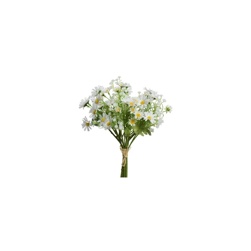 A cheerful bouquet of white daisies with yellow centers and green leaves, tied with twine.