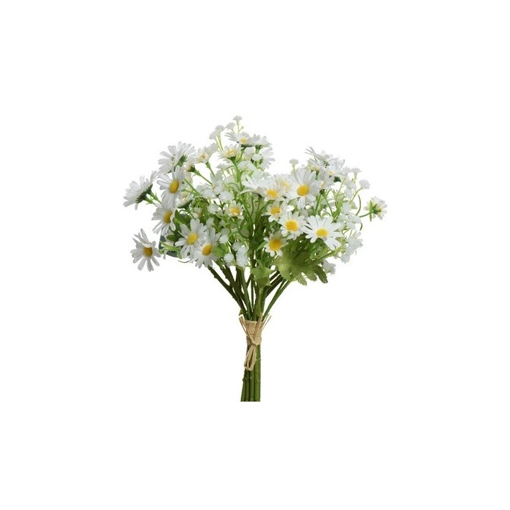 A cheerful bouquet of white daisies with yellow centers and green leaves, tied with twine.