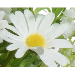 A close-up of a white daisy with a bright yellow center, surrounded by soft green foliage.