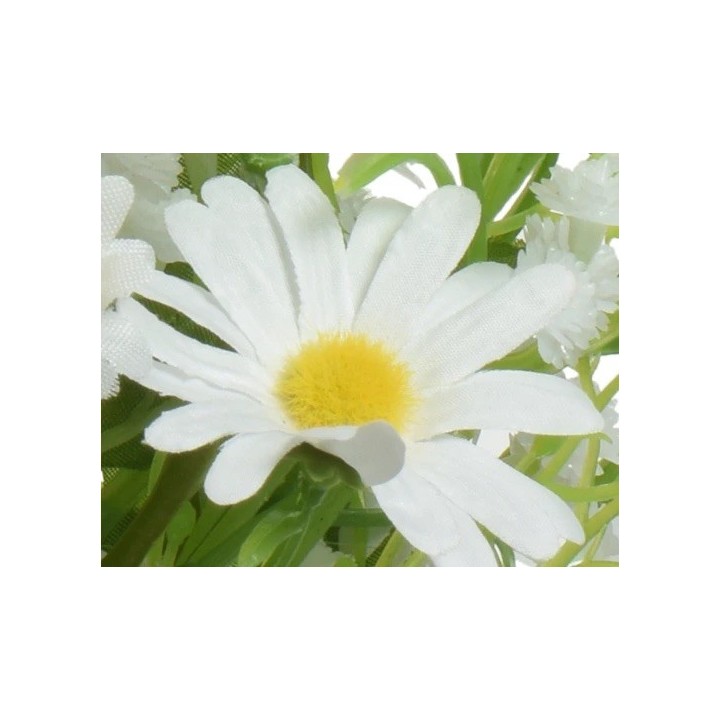 A close-up of a white daisy with a bright yellow center, surrounded by soft green foliage.