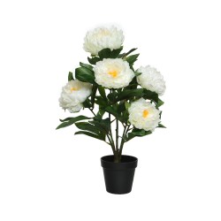 A potted faux plant with large, white peony flowers and lush green leaves.