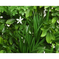 Groene bladeren en gras met een enkele witte bloem in het midden, fris en levendig.