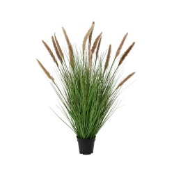 Plante artificielle avec longues tiges vertes et fleurs plumeuses beiges.