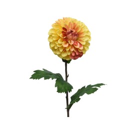 Een grote, ronde, geel-oranje dahlia met groene bladeren op een lange steel.