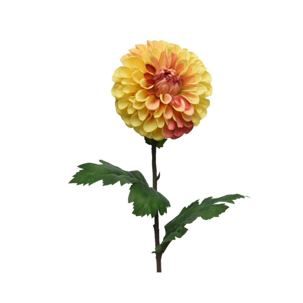 Fleur de dahlia ronde, jaune et orange, sur une tige verte feuillue.