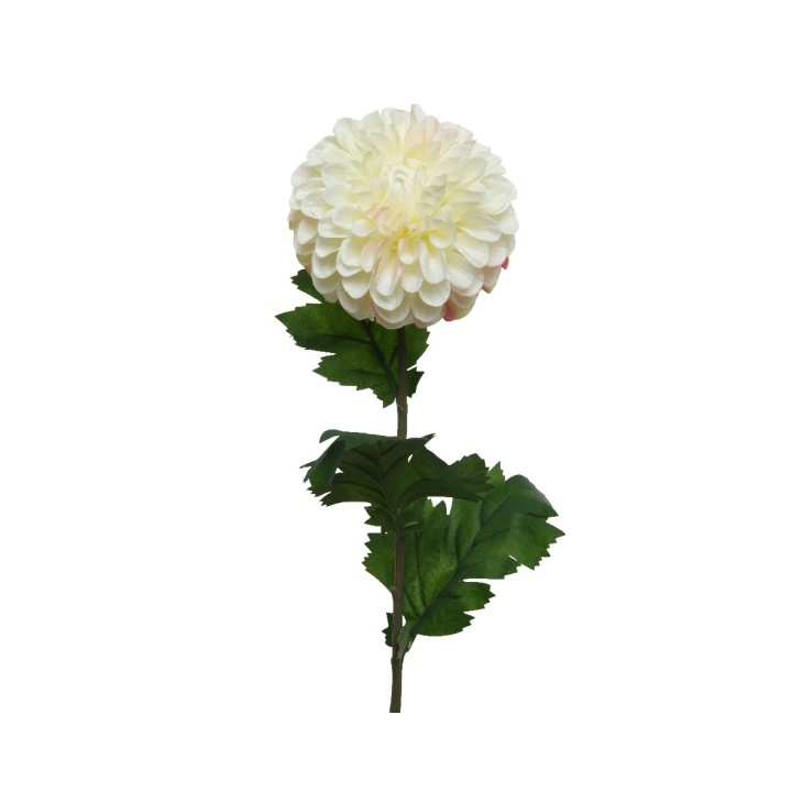 A delicate cream-colored flower with layered petals, atop a slender green stem and leaves.