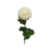 Fleur délicate aux pétales blancs, tige verte avec feuilles luxuriantes.