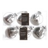 Boule incassable paysage | SAPINS.BE SRL Boule incassable paysage | SAPINS.BE SRL