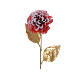 A vibrant red flower with textured petals atop a golden stem and leaves.