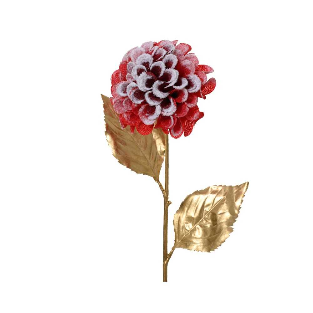 A vibrant red flower with textured petals atop a golden stem and leaves.