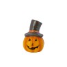 Pumpkin with brown hat orange Pumpkin with brown hat orange
