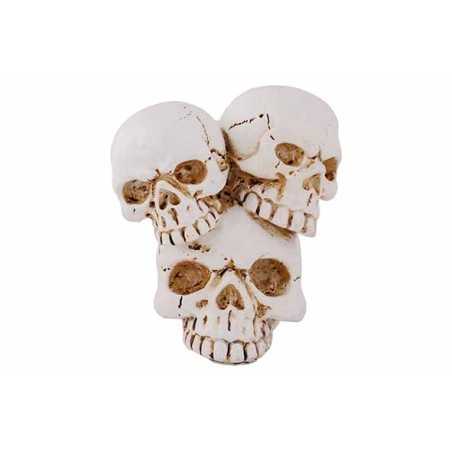 Skull Skull