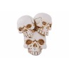 Skull Skull