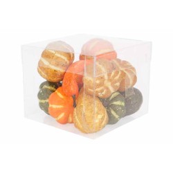 12 Multicolored Pumpkins