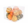 12 Multicolored Pumpkins 12 Multicolored Pumpkins