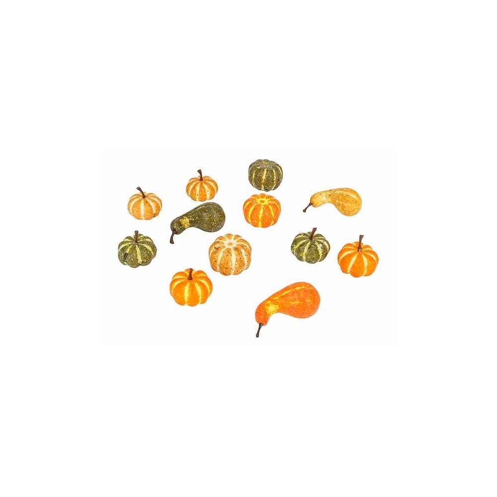 12 Multicolored Pumpkins