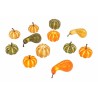 12 Multikleurige Pompoenen 12 Multikleurige Pompoenen