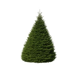%product-name% %separator% %shop-name% %description%