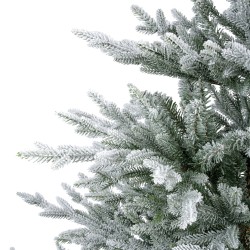 Branches de sapin recouvertes de neige scintillante sur fond blanc.