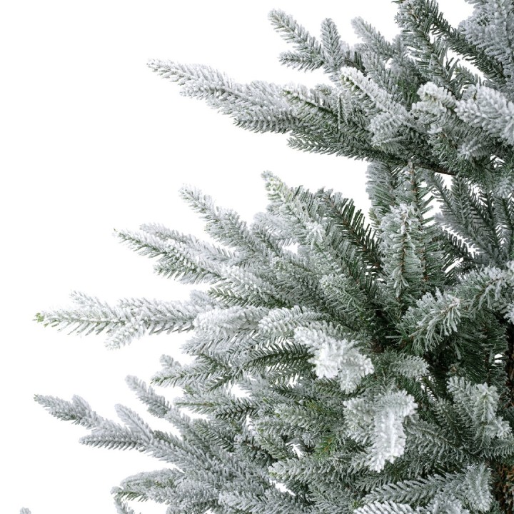 Groene dennennaalden met een witte, sneeuwachtige coating, tegen een heldere achtergrond.