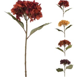 Een tak met kleurrijke, gedroogde hortensia's in tinten van rood, geel en paars.