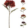 Een tak met kleurrijke, gedroogde hortensia's in tinten van rood, geel en paars. Een tak met kleurrijke, gedroogde hortensia's in tinten van rood, geel en paars.