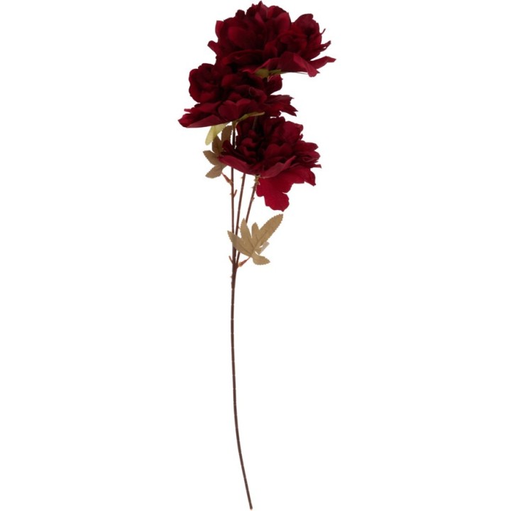 A tall, elegant stem with deep red flowers and subtle green leaves.