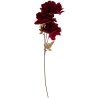 A tall, elegant stem with deep red flowers and subtle green leaves.