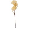 Delicate cream-colored flowers on a slender stem with subtle green leaves.