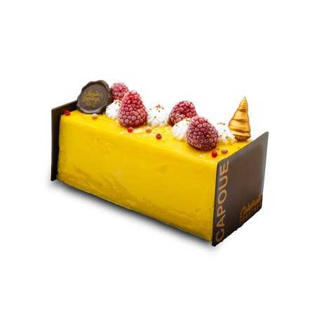 Capoue - Fruity frozen yule log
