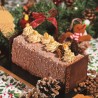 Bûche festive chocolatée, décorée de crème et de douceurs, sur fond de verdure et de décora...