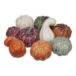 9 Citrouilles décoratives