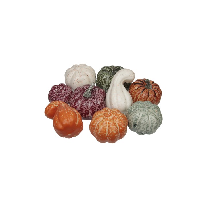 9 Citrouilles décoratives