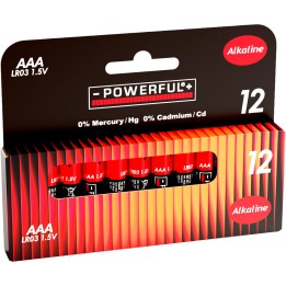 12 AAA alkaline batteries