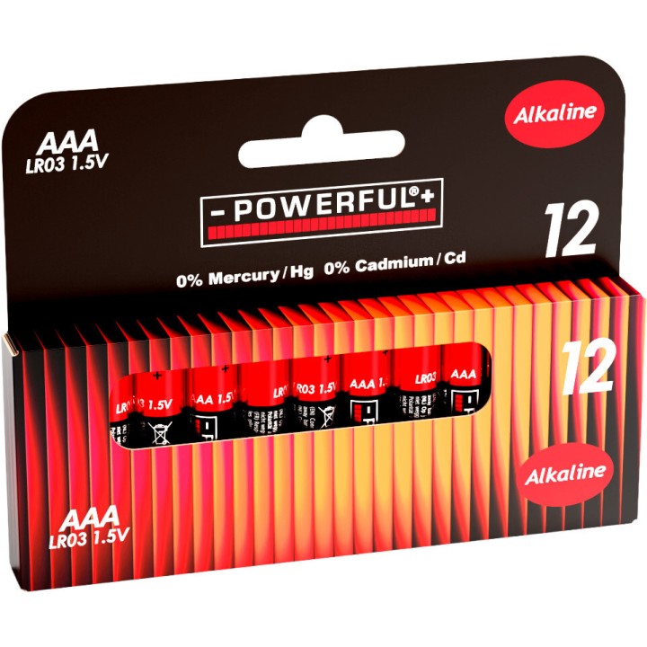 AAA alkaline batterijen - set van 12