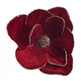Red velvet magnolia with clip