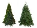 sapin naturel vesrus sapin artificiel