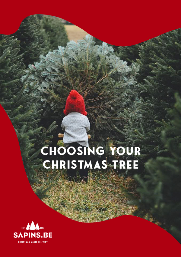 Christmas Trees - Natural and Artificial Trees, Premium Quality