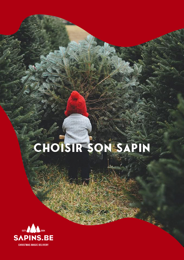 Sapins de Noël - Sapins naturels et artificiels de qualité premium