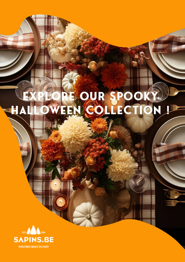 Halloween Collection - Spooky decorations and themed accessories